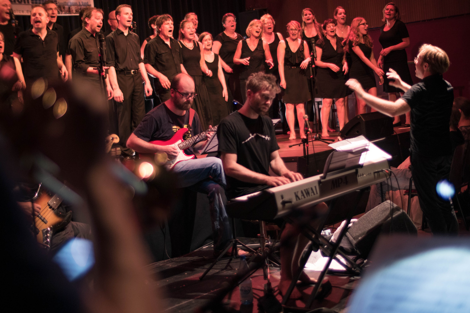 Rhythm & Voice Connection, Jubiläumskonzert am 04.07.2015 im Goldbekhaus. Foto by Bert Beyers.