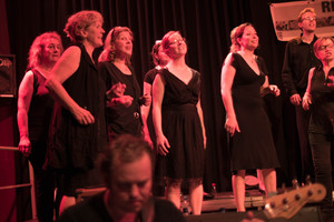 Vorschau: Rhythm & Voice Connection, Jubiläumskonzert am 04.07.2015 im Goldbekhaus. Foto by Bert Beyers.